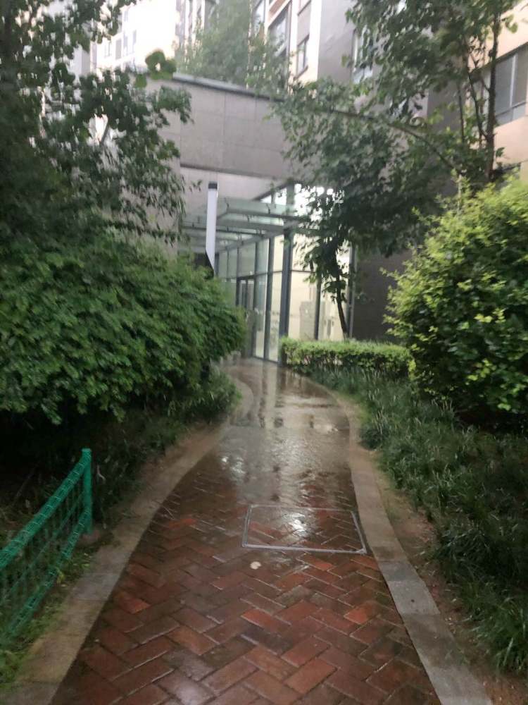 |雷电大雾双预警！今天暴雨继续 青岛继续“乘风破浪”