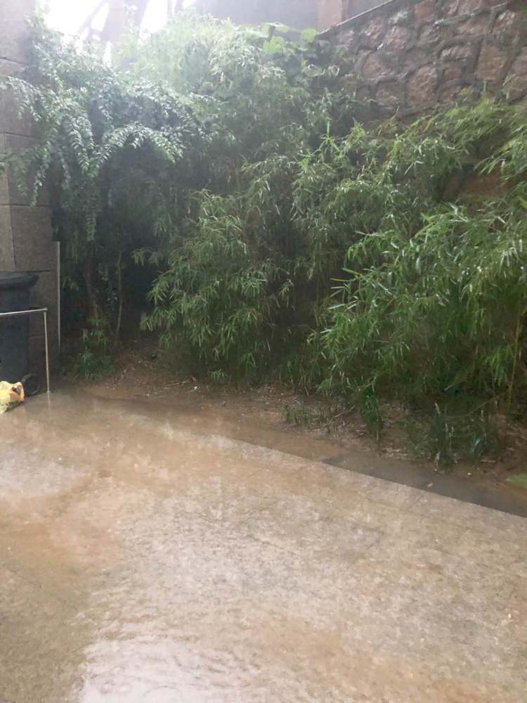 |雷电大雾双预警！今天暴雨继续 青岛继续“乘风破浪”