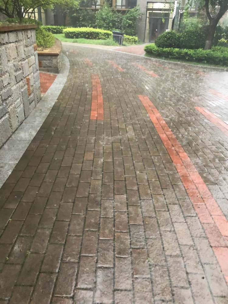 |雷电大雾双预警！今天暴雨继续 青岛继续“乘风破浪”