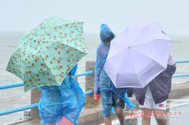 |雷电大雾双预警！今天暴雨继续 青岛继续“乘风破浪”