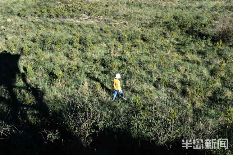 留沙|上青藏高原 看海北变化⑤丨沙漠治沙，为何还要留沙？
