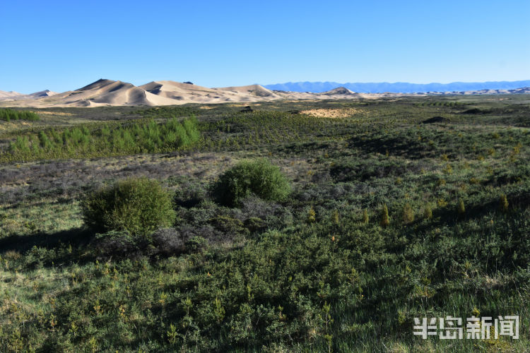 留沙|上青藏高原 看海北变化⑤丨沙漠治沙，为何还要留沙？