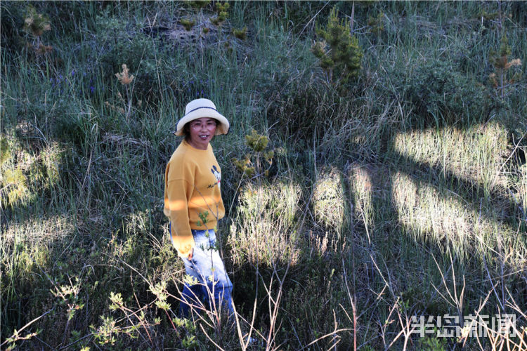 留沙|上青藏高原 看海北变化⑤丨沙漠治沙，为何还要留沙？