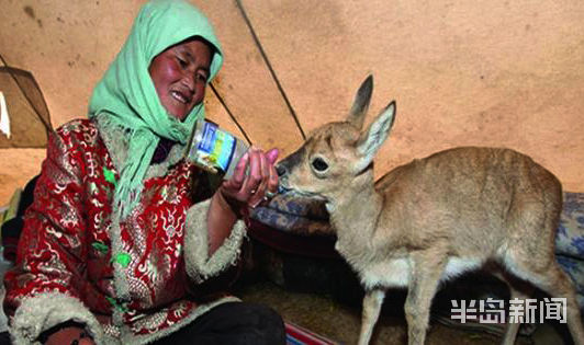 留沙|上青藏高原 看海北变化⑤丨沙漠治沙，为何还要留沙？
