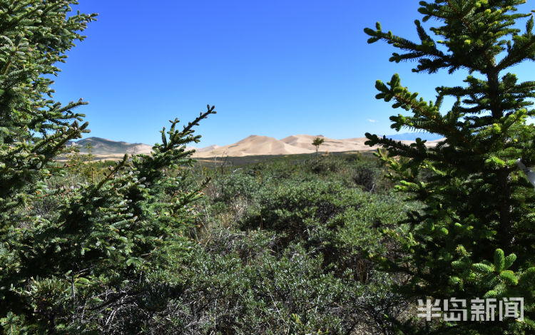 留沙|上青藏高原 看海北变化⑤丨沙漠治沙，为何还要留沙？