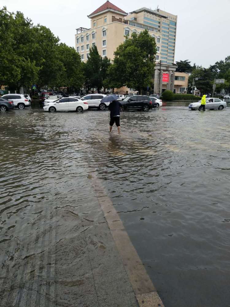 青岛突降暴雨致多路段积水严重公交启动应急响应保出行