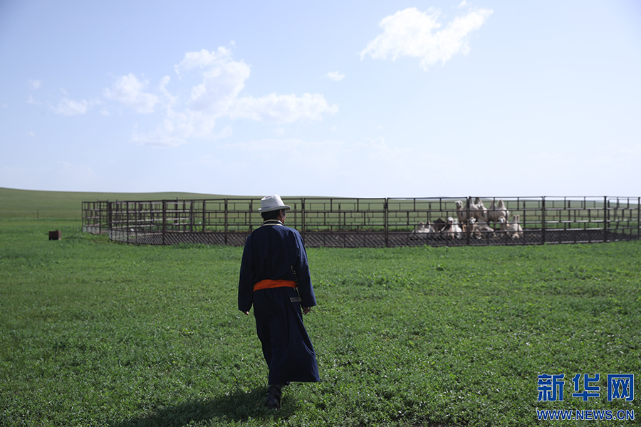 |幸福花开新边疆：“国家的孩子”扎根草原60年 见证绿色家园的变与不变