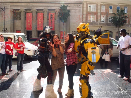 |新东方青岛学校老师杨洁与学生的“爱恨情仇”之硬骨头驯服记