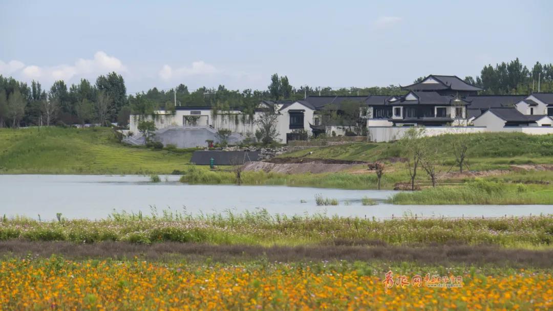 |绝美！青岛这个“人间秘境”藏不住了