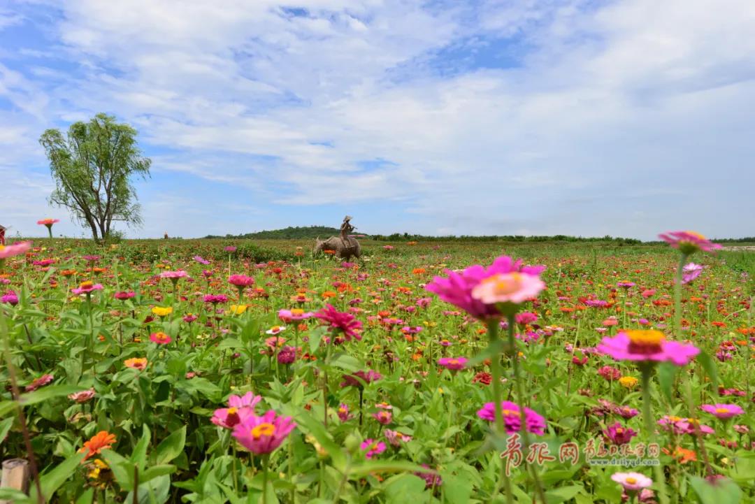 |绝美！青岛这个“人间秘境”藏不住了