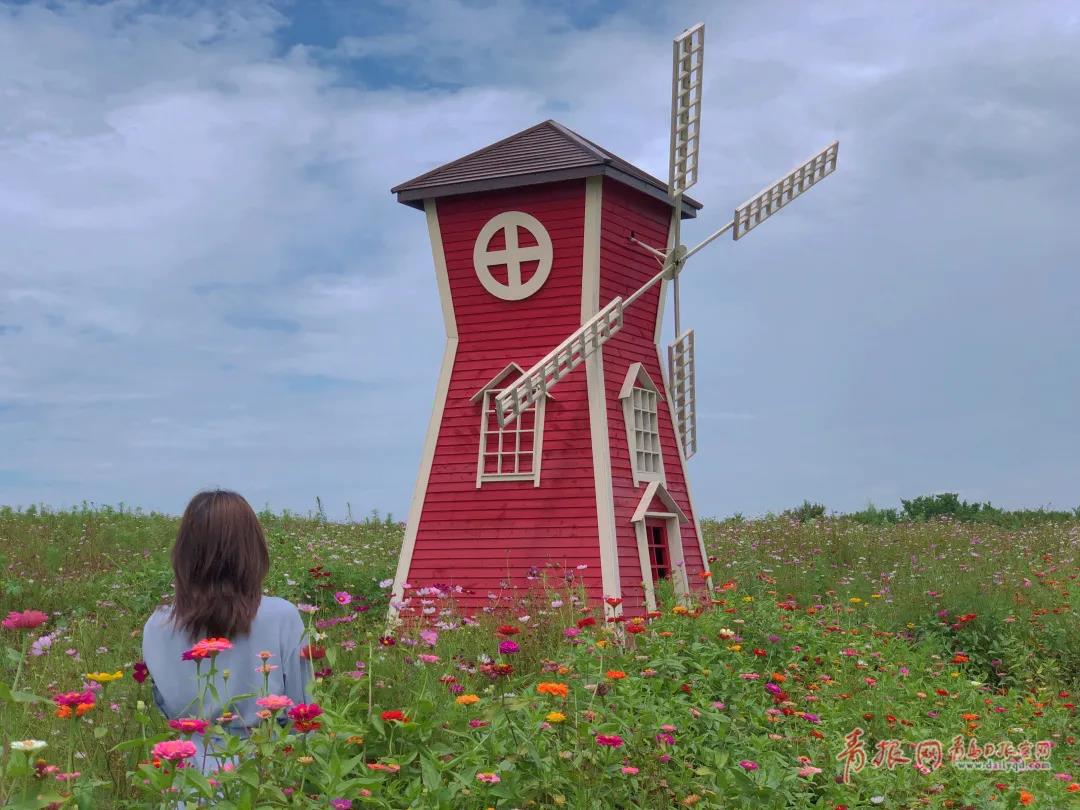 |绝美！青岛这个“人间秘境”藏不住了