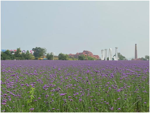 |青岛啤酒节，醉美西海岸 山东16地市自媒体大咖西海岸狂欢之旅活动顺利举办