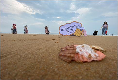 |青岛啤酒节，醉美西海岸 山东16地市自媒体大咖西海岸狂欢之旅活动顺利举办