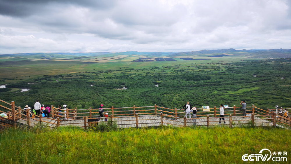 |幸福花开新边疆：额尔古纳湿地一角 绿意尽染山河远阔