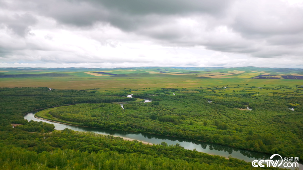 |幸福花开新边疆：额尔古纳湿地一角 绿意尽染山河远阔
