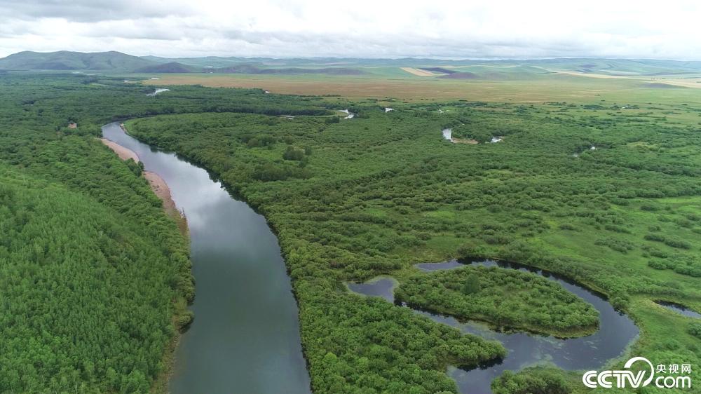 |幸福花开新边疆：额尔古纳湿地一角 绿意尽染山河远阔