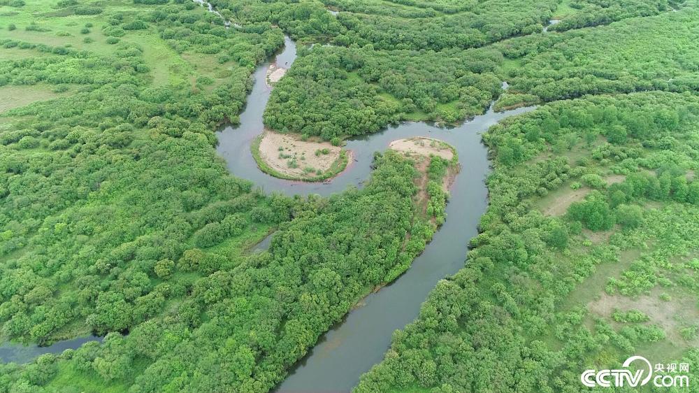 |幸福花开新边疆：额尔古纳湿地一角 绿意尽染山河远阔