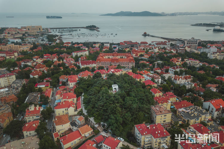 有海|夏日航拍青岛观海山 仿佛老城区中的“绿岛”