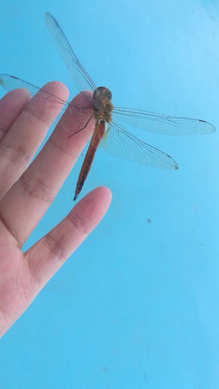 明信片|青岛金沙滩啤酒城：随手一拍 就是一张明信片