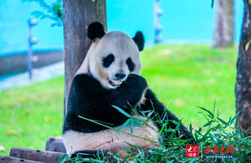 |暑期旅游旺季潍坊人去哪儿嗨？记者带你“乘风破浪”玩转威海