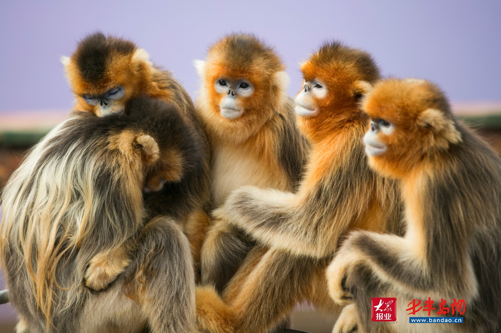 |暑期旅游旺季潍坊人去哪儿嗨？记者带你“乘风破浪”玩转威海