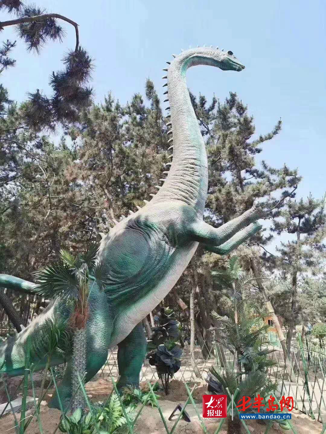 |暑期旅游旺季潍坊人去哪儿嗨？记者带你“乘风破浪”玩转威海