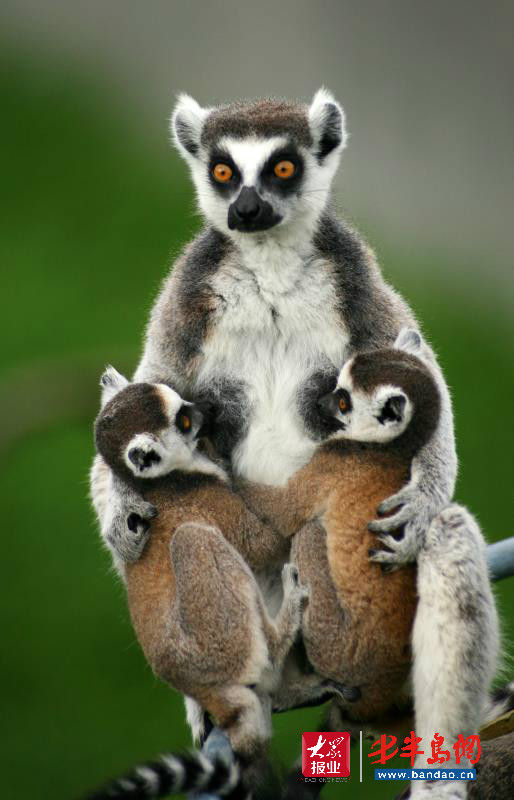 |暑期旅游旺季潍坊人去哪儿嗨？记者带你“乘风破浪”玩转威海