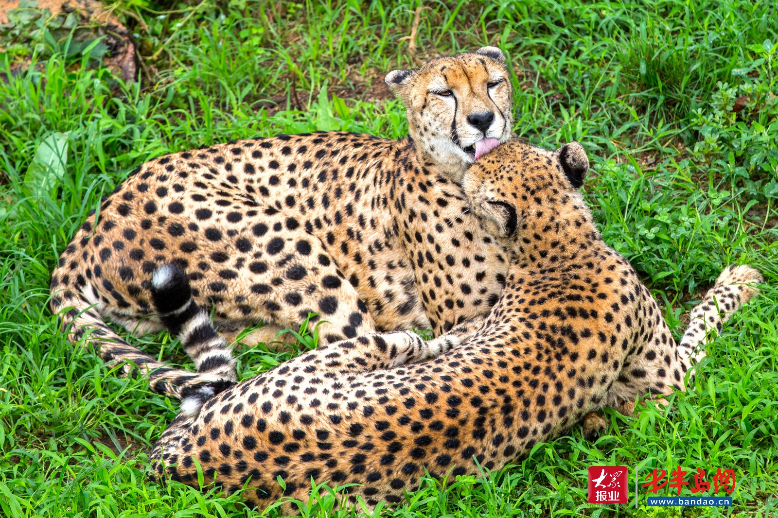 |暑期旅游旺季潍坊人去哪儿嗨？记者带你“乘风破浪”玩转威海