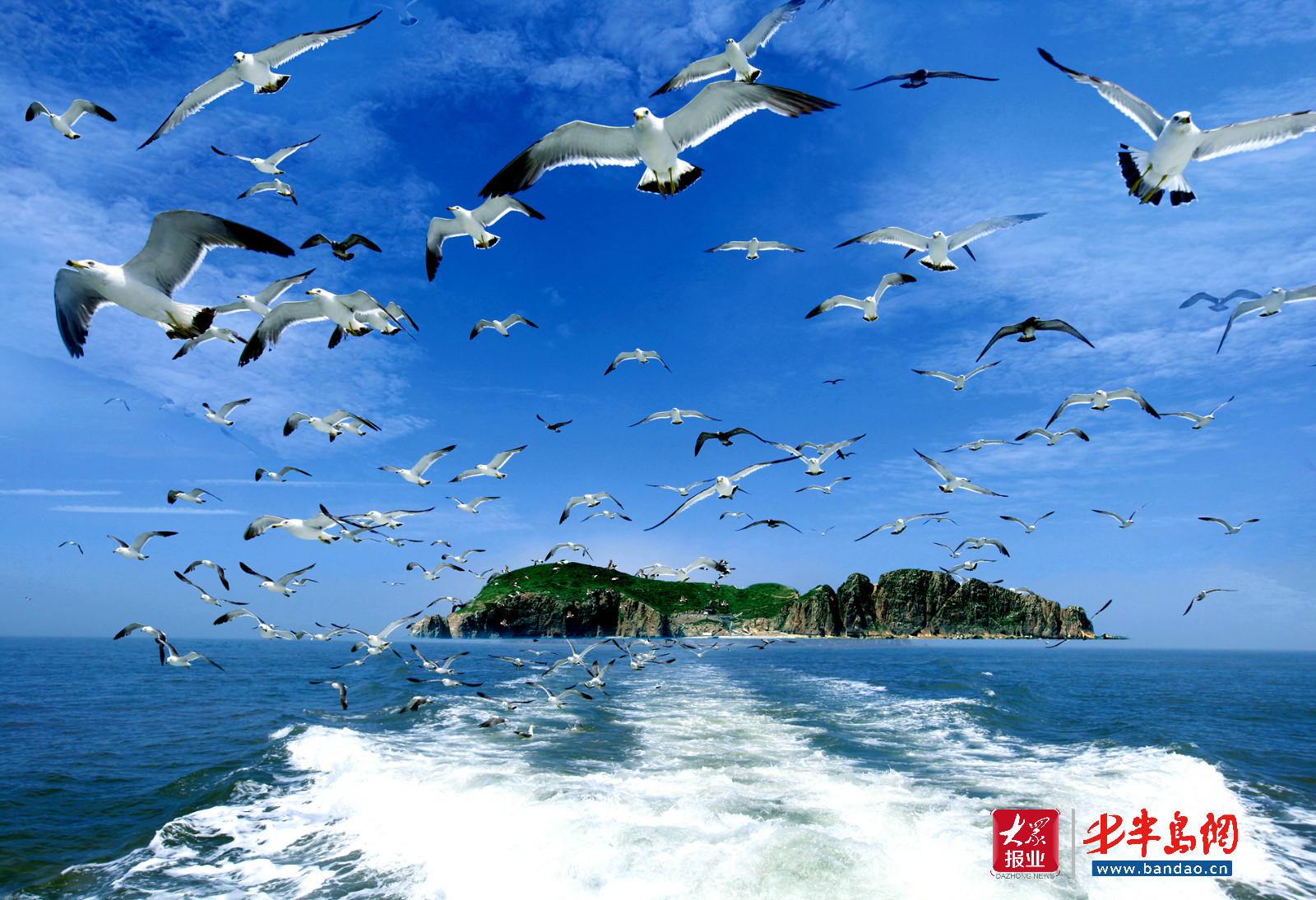 |暑期旅游旺季潍坊人去哪儿嗨？记者带你“乘风破浪”玩转威海