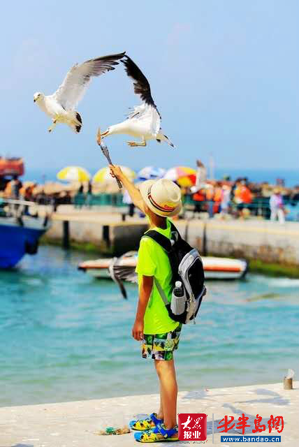 |暑期旅游旺季潍坊人去哪儿嗨？记者带你“乘风破浪”玩转威海