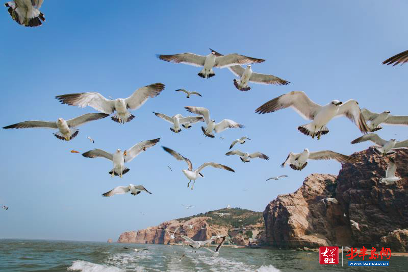 |暑期旅游旺季潍坊人去哪儿嗨？记者带你“乘风破浪”玩转威海