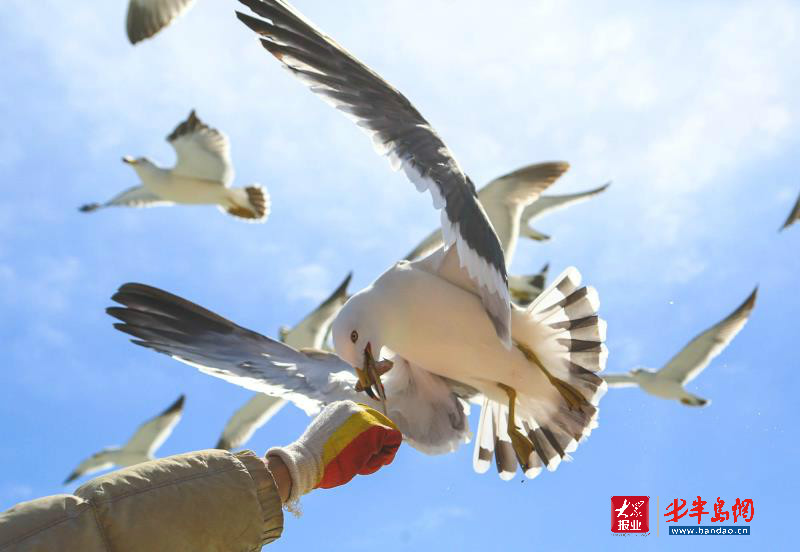 |暑期旅游旺季潍坊人去哪儿嗨？记者带你“乘风破浪”玩转威海