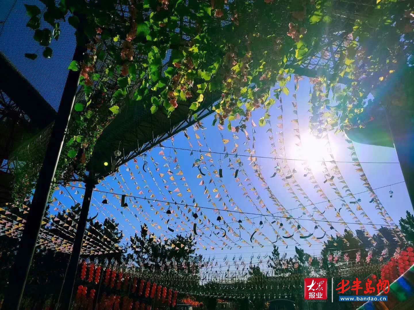 |暑期旅游旺季潍坊人去哪儿嗨？记者带你“乘风破浪”玩转威海