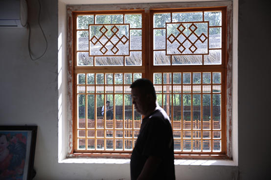 |幸福花开新边疆：白桦丛生的地方