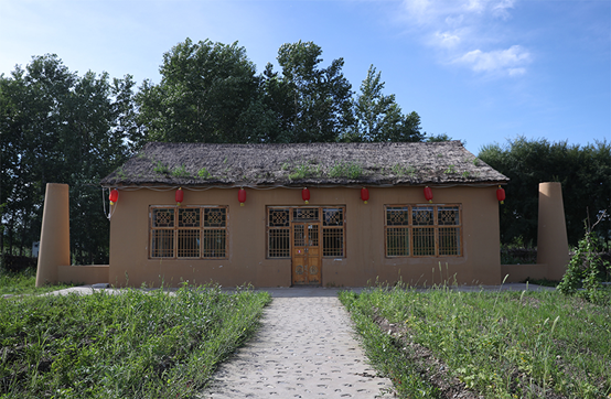 |幸福花开新边疆：白桦丛生的地方