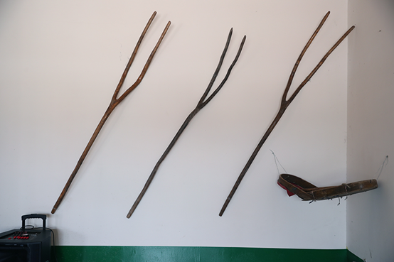 |幸福花开新边疆：白桦丛生的地方