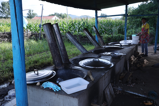 |幸福花开新边疆：白桦丛生的地方
