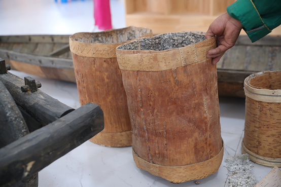 |幸福花开新边疆：白桦丛生的地方