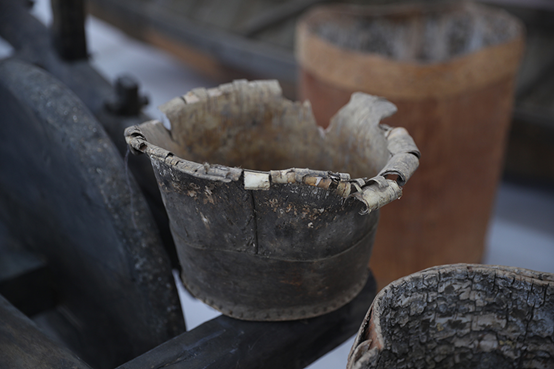 |幸福花开新边疆：白桦丛生的地方