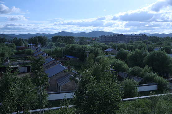 |幸福花开新边疆：白桦丛生的地方