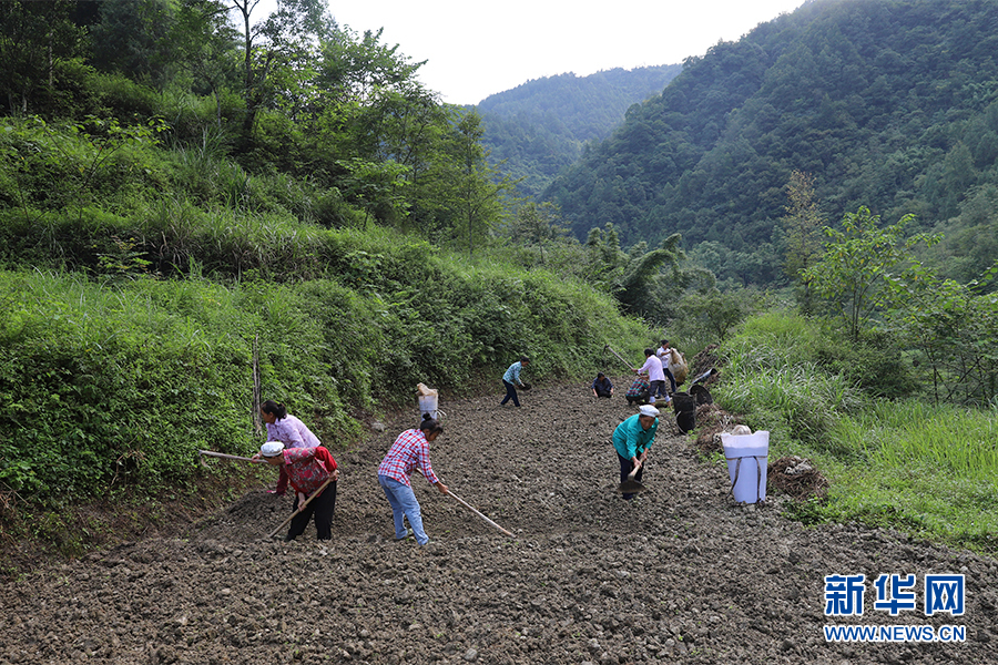 |【你笑起来真好看】“九个山嫂”唱出一台“脱贫大戏”