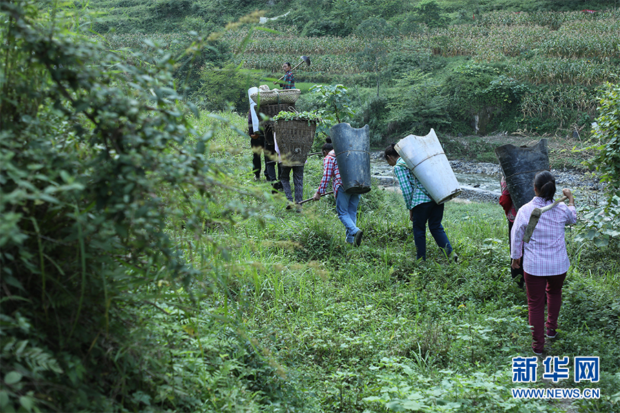 |【你笑起来真好看】“九个山嫂”唱出一台“脱贫大戏”