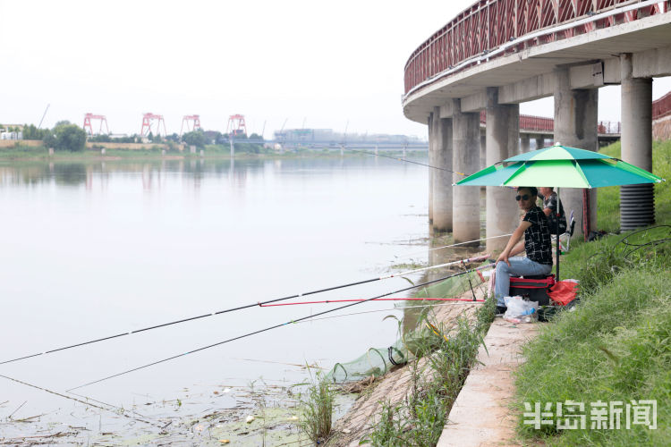 垂钓|青岛白沙河流亭机场附近 不少钓友岸边垂钓