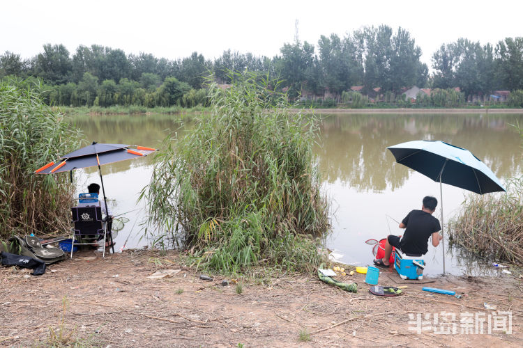 垂钓|青岛白沙河流亭机场附近 不少钓友岸边垂钓
