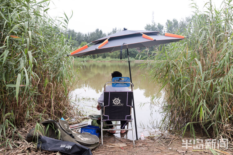 垂钓|青岛白沙河流亭机场附近 不少钓友岸边垂钓