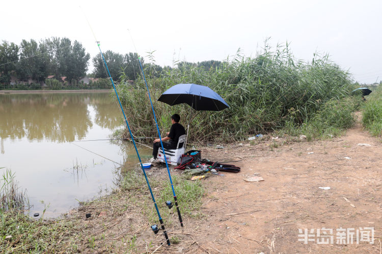 垂钓|青岛白沙河流亭机场附近 不少钓友岸边垂钓