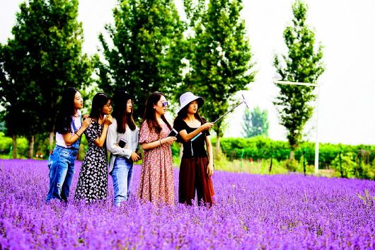 新篇章|打造北部魅力新城区 即墨北安街道谱写发展新篇章