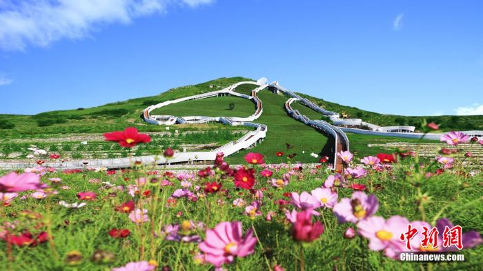 |【幸福花开新边疆】采石匠在石头上种出“幸福花”