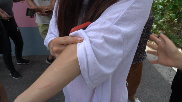 屠狗|记者直击即墨屠狗黑窝点救狗现场：泼水、抡铁锨、夺相机……志愿者遭遇狗贩夫妇“全武行”