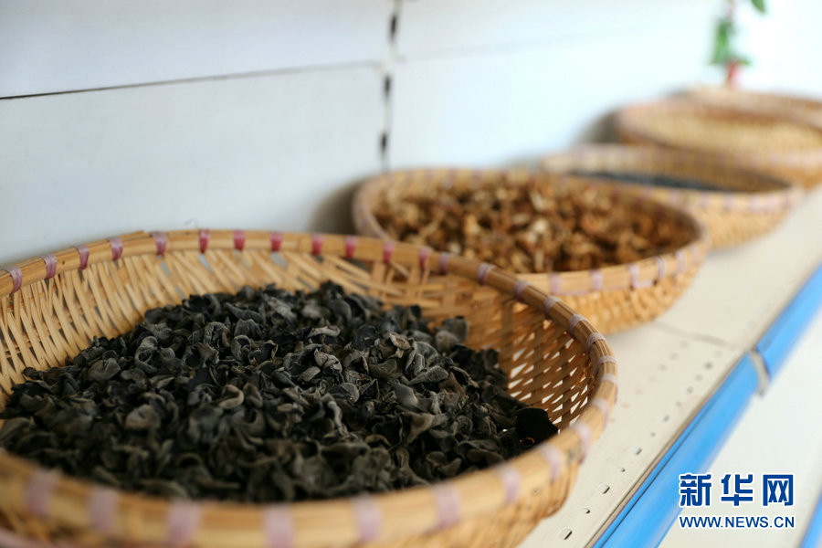 |【幸福花开新边疆】一把木耳